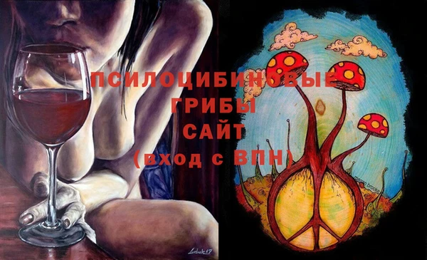 тгк Касимов