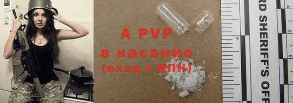 PSILOCYBIN Киренск