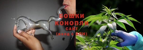 тгк Касимов