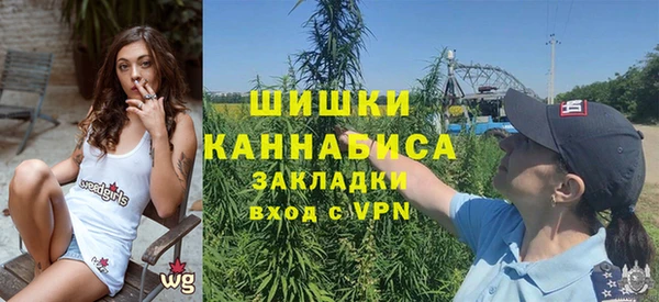 тгк Касимов