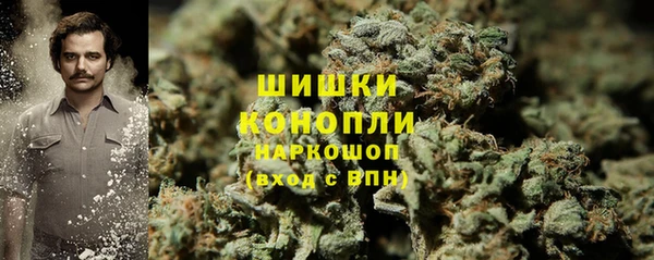 тгк Касимов