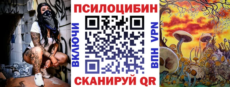 Псилоцибиновые грибы GOLDEN TEACHER  Купить  Кувшиново 
